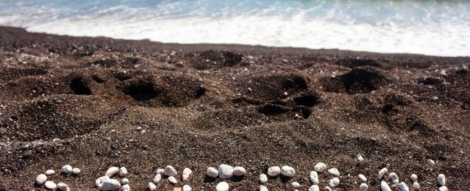 8 Reasons you should visit Santorini - La Mer Deluxe Hotel & Spa